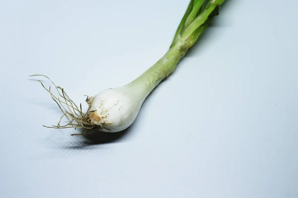 Fresh Green Spring Onion Roots Isolated White Background — Stock Photo, Image