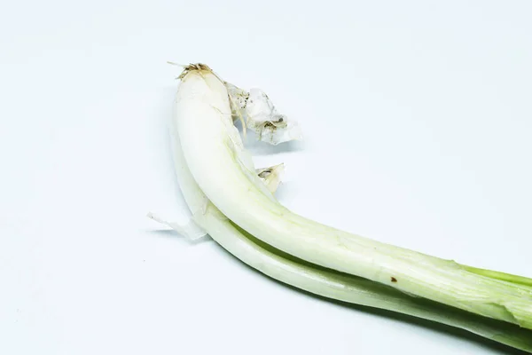 Свежий Зеленый Лук Корнями Изолированном Белом Фоне — стоковое фото