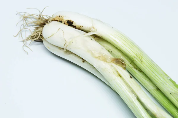 Cebolla Primavera Verde Fresca Con Raíces Fondo Blanco Aislado — Foto de Stock