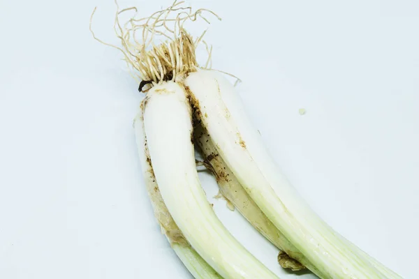 Fris Groen Voorjaar Met Wortels Een Geïsoleerde Witte Achtergrond — Stockfoto