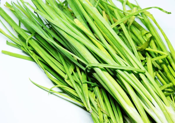 Cebolla Primavera Verde Fresca Con Raíces Fondo Blanco Aislado — Foto de Stock