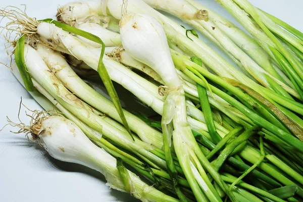 Cipolla Verde Fresca Primavera Con Radici Uno Sfondo Bianco Isolato — Foto Stock