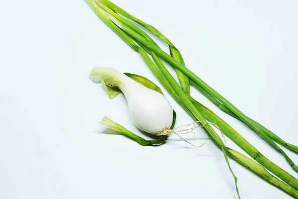 Cipolla Verde Fresca Primavera Con Radici Uno Sfondo Bianco Isolato — Foto Stock