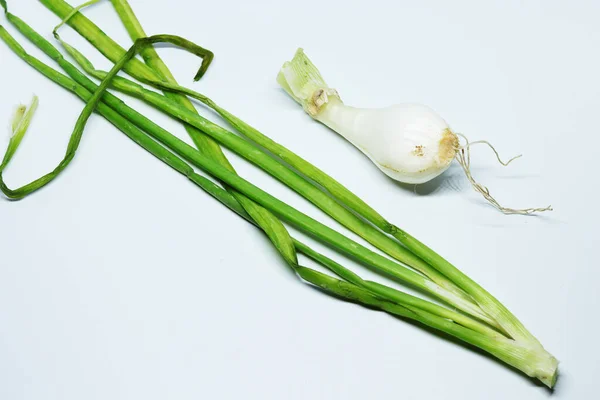 Cebolla Primavera Verde Fresca Con Raíces Fondo Blanco Aislado — Foto de Stock