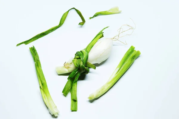 Cebolla Primavera Verde Fresca Con Raíces Fondo Blanco Aislado — Foto de Stock