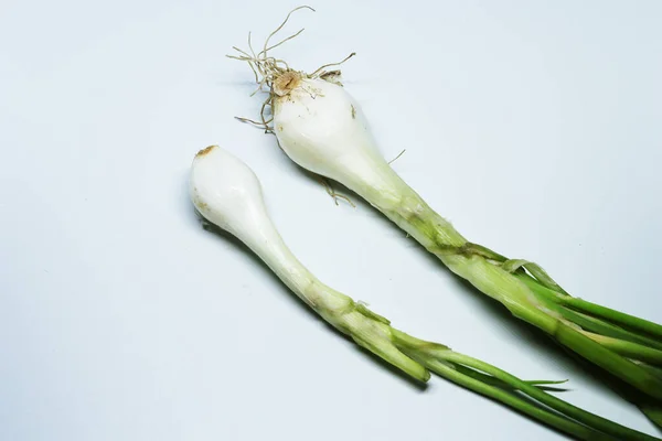 Cebolla Primavera Verde Fresca Con Raíces Fondo Blanco Aislado — Foto de Stock