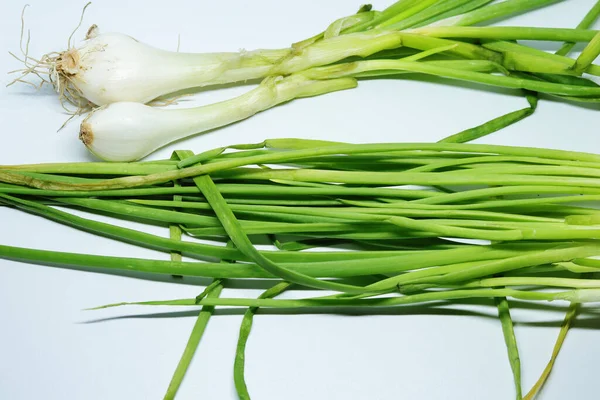 Cipolla Verde Fresca Primavera Con Radici Uno Sfondo Bianco Isolato — Foto Stock