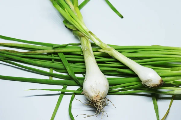 Cipolla Verde Fresca Primavera Con Radici Uno Sfondo Bianco Isolato — Foto Stock