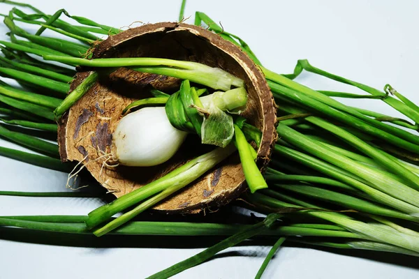 Cipolla Verde Fresca Primavera Con Radici Uno Sfondo Bianco Isolato — Foto Stock