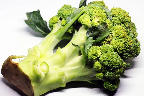 Verse Gezonde Broccoli Geïsoleerd Witte Achtergrond — Stockfoto