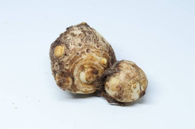 İzole edilmiş beyaz arkaplan üzerine Taro veya Colocasia esculenta