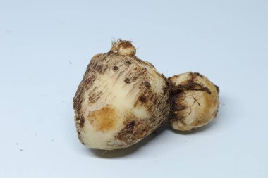 İzole edilmiş beyaz arkaplan üzerine Taro veya Colocasia esculenta