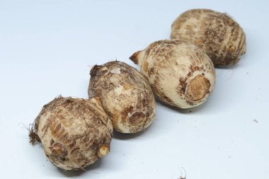 İzole edilmiş beyaz arkaplan üzerine Taro veya Colocasia esculenta