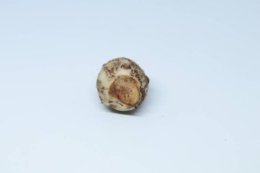 İzole edilmiş beyaz arkaplan üzerine Taro veya Colocasia esculenta