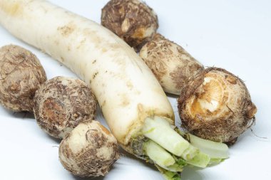 İzole edilmiş beyaz arkaplan üzerine Taro veya Colocasia esculenta
