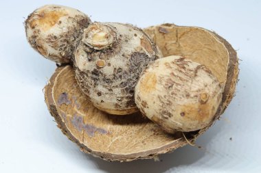 İzole edilmiş beyaz arkaplan üzerine Taro veya Colocasia esculenta