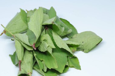 Rozelle beyaz arkaplanda izole bırakılıyor