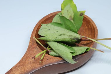 Rozelle beyaz arkaplanda izole bırakılıyor