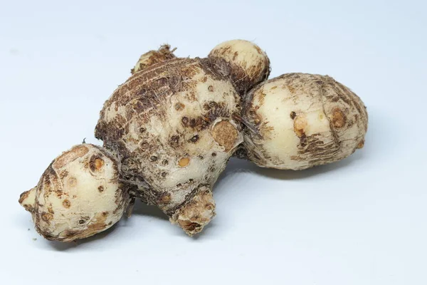 Taro Oder Colocasia Esculenta Auf Isoliertem Weißem Hintergrund — Stockfoto