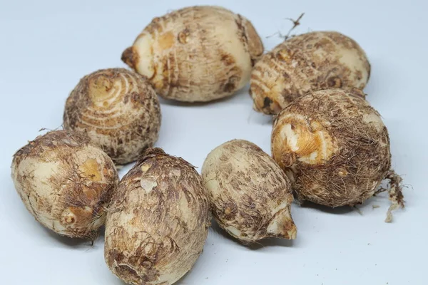 Zole Edilmiş Beyaz Arkaplan Üzerine Taro Veya Colocasia Esculenta — Stok fotoğraf