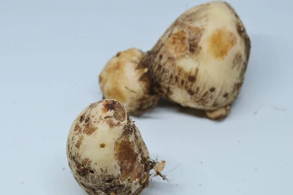 Zole Edilmiş Beyaz Arkaplan Üzerine Taro Veya Colocasia Esculenta — Stok fotoğraf