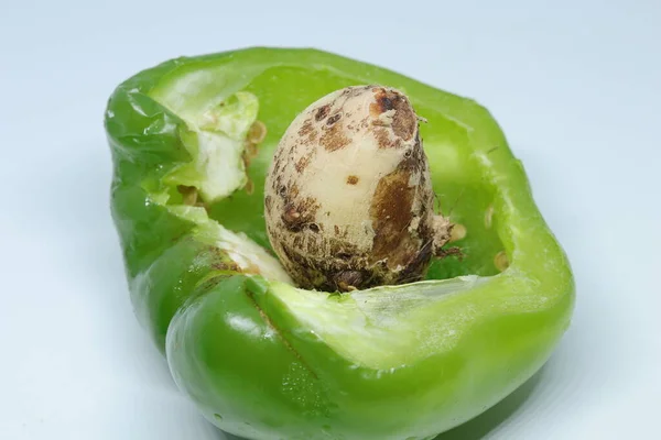 Tranche Poivron Vert Capsicum Isolé Sur Fond Blanc — Photo