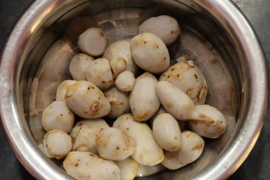 İzole edilmiş beyaz arkaplan üzerine Taro veya Colocasia esculenta.