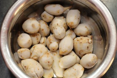 İzole edilmiş beyaz arkaplan üzerine Taro veya Colocasia esculenta.