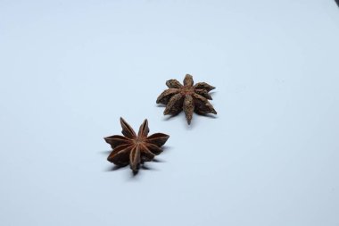 Beyaz arkaplanda izole edilmiş parmotrema perlatum çiçekleri