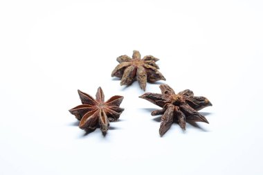 Beyaz arkaplanda izole edilmiş parmotrema perlatum çiçekleri