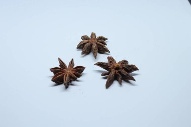 Beyaz arkaplanda izole edilmiş parmotrema perlatum çiçekleri