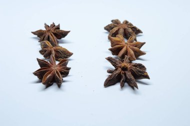 Beyaz arkaplanda izole edilmiş parmotrema perlatum çiçekleri