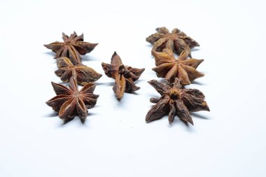 Beyaz arkaplanda izole edilmiş parmotrema perlatum çiçekleri