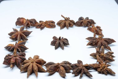 Beyaz arkaplanda izole edilmiş parmotrema perlatum çiçekleri