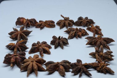 Beyaz arkaplanda izole edilmiş parmotrema perlatum çiçekleri