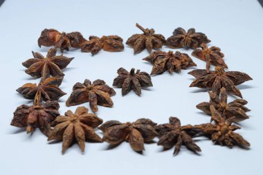 Beyaz arkaplanda izole edilmiş parmotrema perlatum çiçekleri