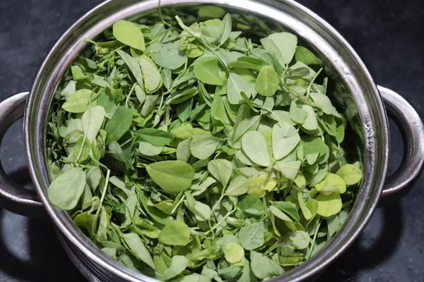 Taze Yeşil FenuGreek Beyaz Arkaplanda Yapraklar