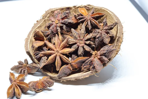 Beyaz arkaplanda izole edilmiş parmotrema perlatum çiçekleri