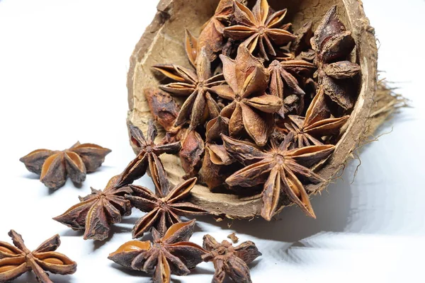 Beyaz arkaplanda izole edilmiş parmotrema perlatum çiçekleri