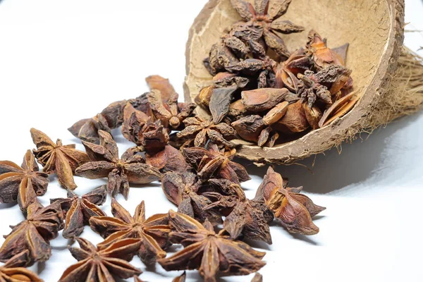 Beyaz arkaplanda izole edilmiş parmotrema perlatum çiçekleri