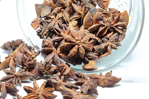 Beyaz arkaplanda izole edilmiş parmotrema perlatum çiçekleri