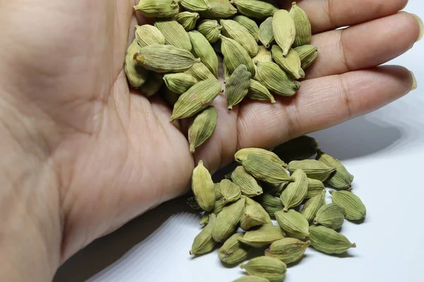 Pequena Pilha Sementes Cardamão Verde Isoladas Fundo Branco — Fotografia de Stock