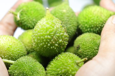 Taze yeşil dikenli su kabağı ya da beyaz arka planda çay kabağı sebzesi