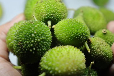 Taze yeşil dikenli su kabağı ya da beyaz arka planda çay kabağı sebzesi