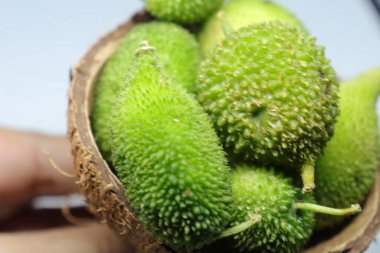 Taze yeşil dikenli su kabağı ya da beyaz arka planda çay kabağı sebzesi