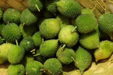 Taze yeşil dikenli su kabağı ya da beyaz arka planda çay kabağı sebzesi