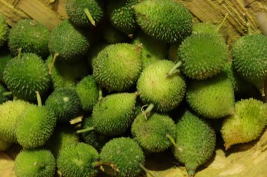 Taze yeşil dikenli su kabağı ya da beyaz arka planda çay kabağı sebzesi