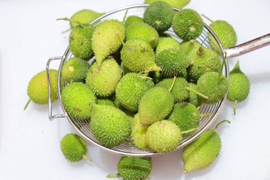 Taze yeşil dikenli su kabağı ya da beyaz arka planda çay kabağı sebzesi