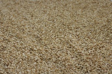 Beyaz zemin üzerinde organik doğal Til Gul veya Susam tohumları