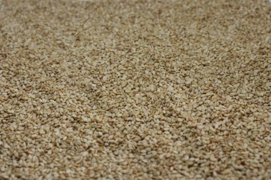 Beyaz zemin üzerinde organik doğal Til Gul veya Susam tohumları